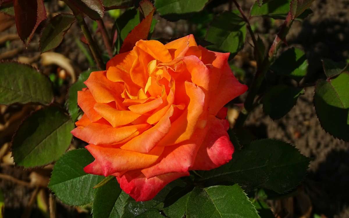 ��������� �����. ����� �������� �������� �� PhotoGeek.ru #����� #�����