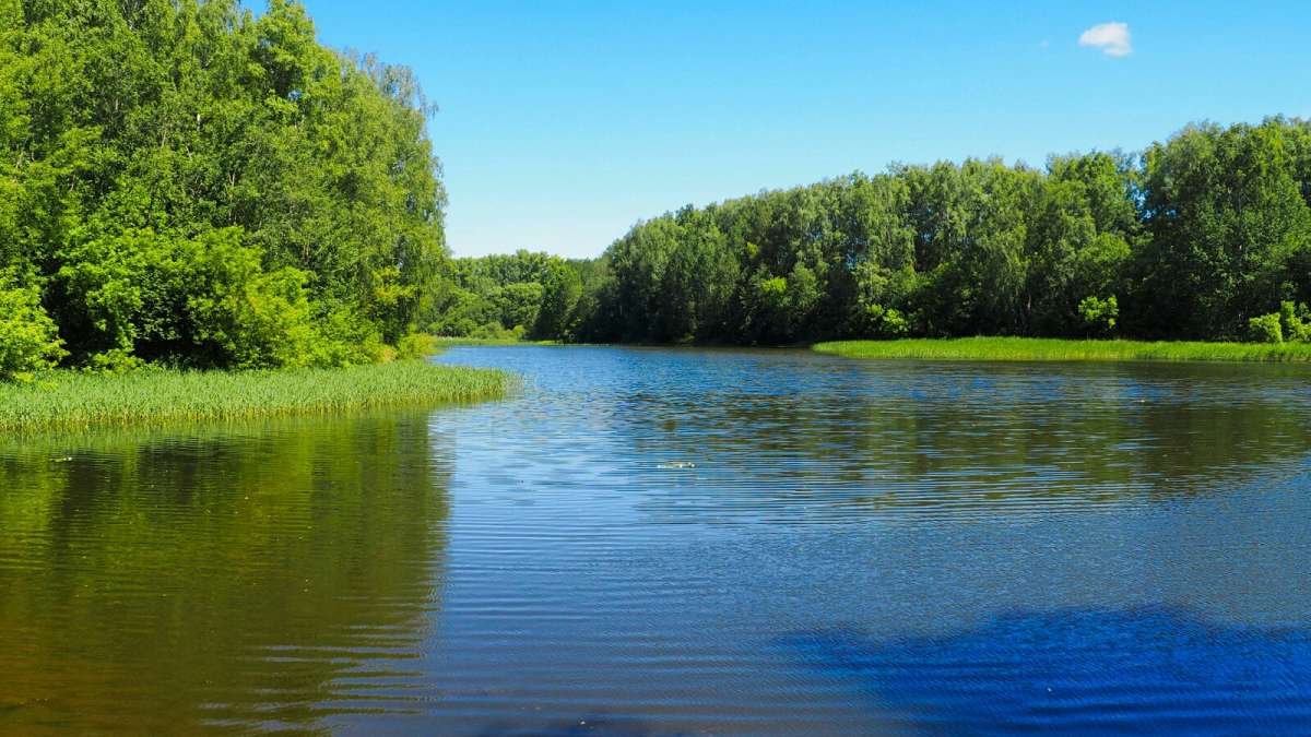 ��� ����, ����� �������� �������� �� PhotoGeek.ru #������ ��� �������