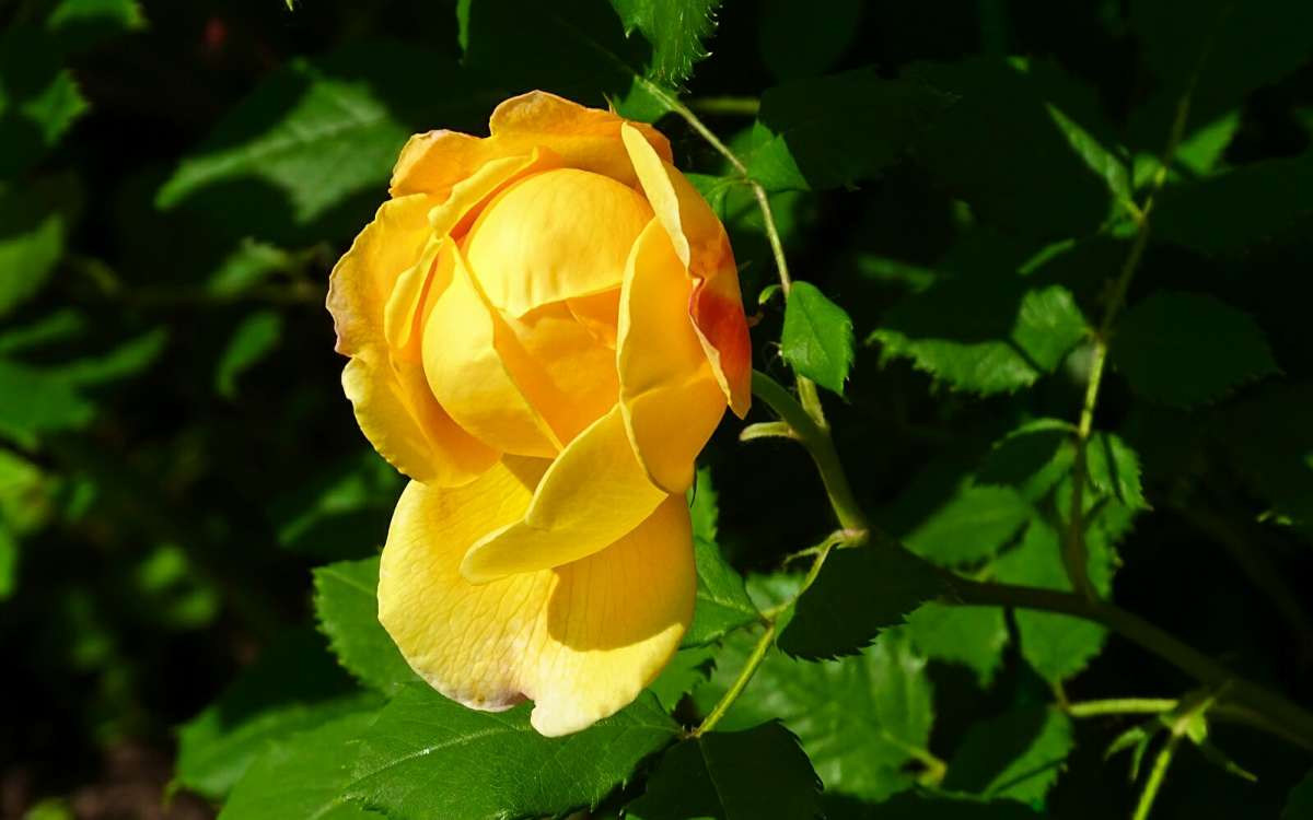��������� �����. ����� �������� �������� �� PhotoGeek.ru #����� #�����