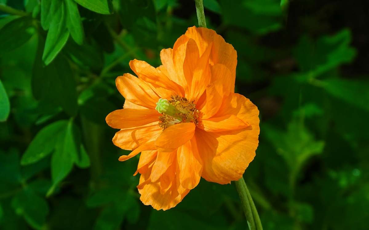    .     PhotoGeek.ru # #
