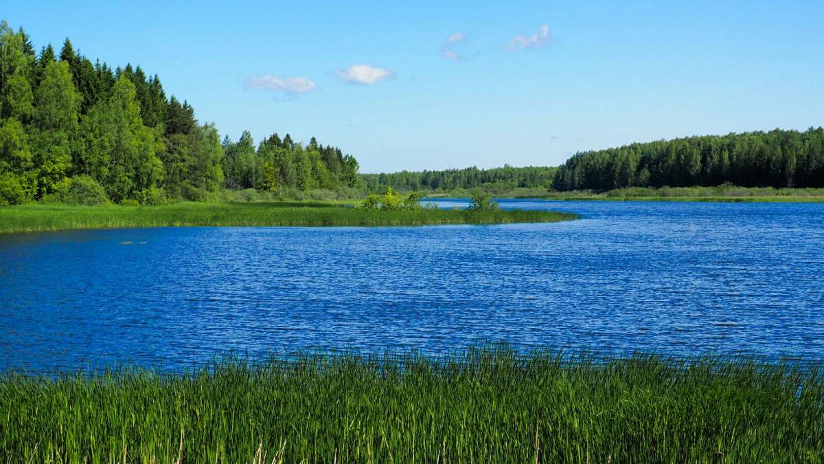 ����� ����������� ����� �������� �������� �� PhotoGeek.ru #������ ��� �������