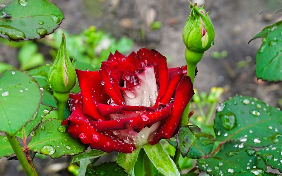 ���� ��� �����. ����� �������� �������� �� PhotoGeek.ru #����� #�����