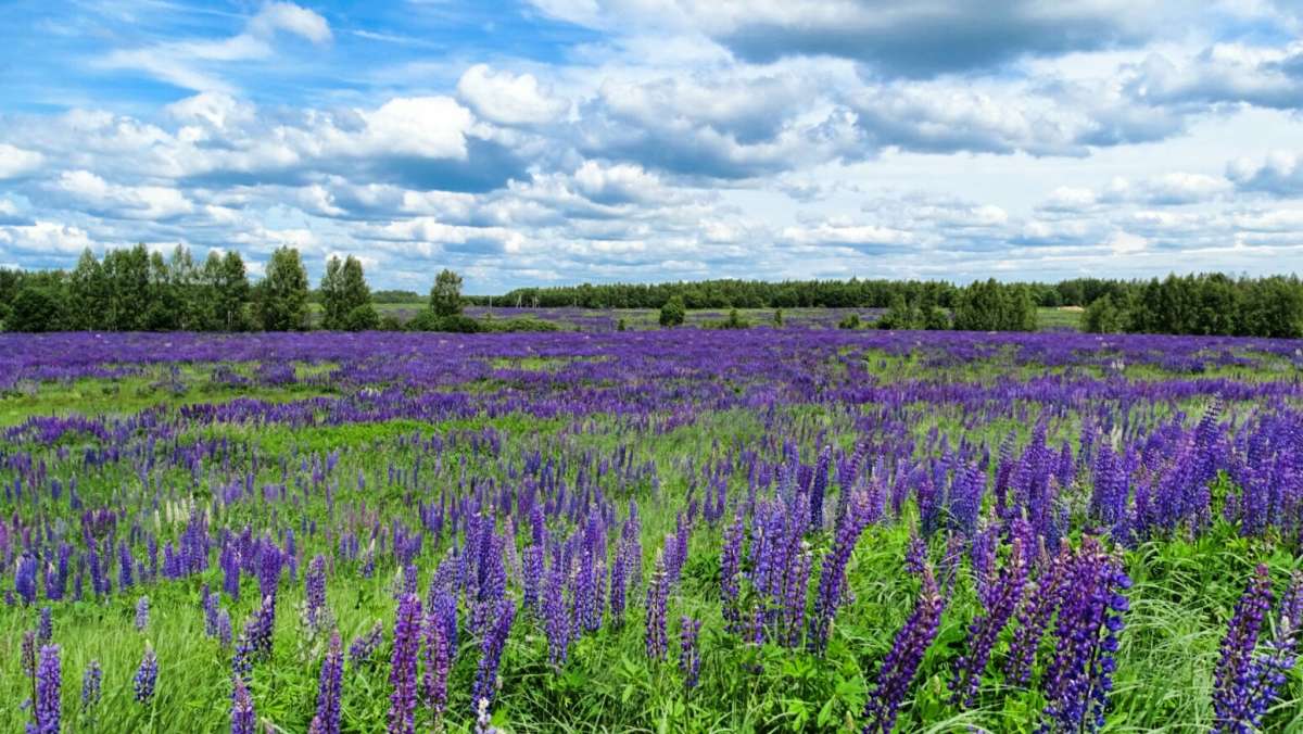 ������ �� ��������� ����. ����� �������� �������� �� PhotoGeek.ru #������ ��� �������