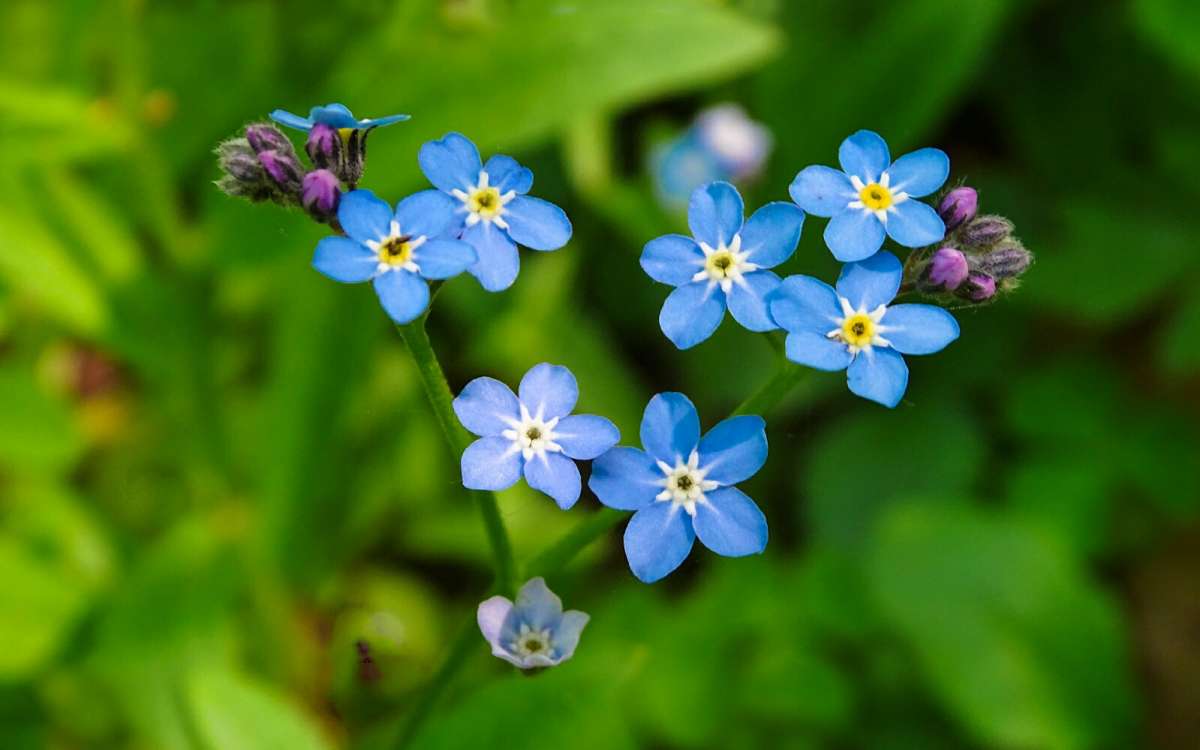 ������� ������ ���������. ����� �������� �������� �� PhotoGeek.ru #����� #������ ��� �������
