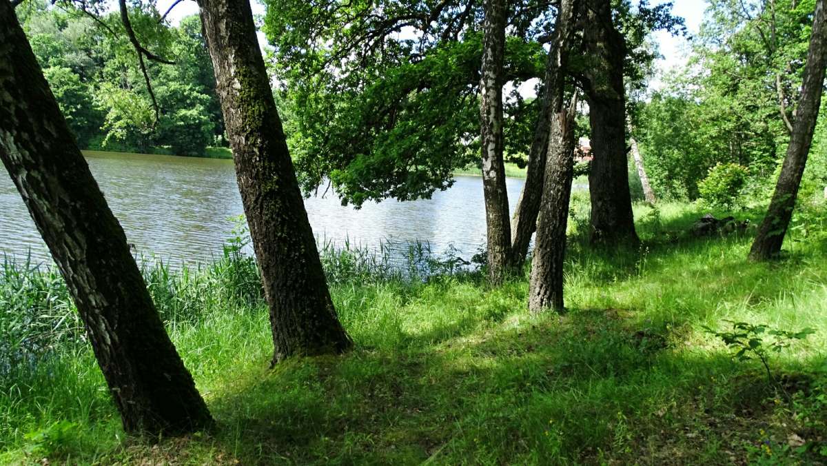 ���� ����. ����� �������� �������� �� PhotoGeek.ru #������ ��� �������