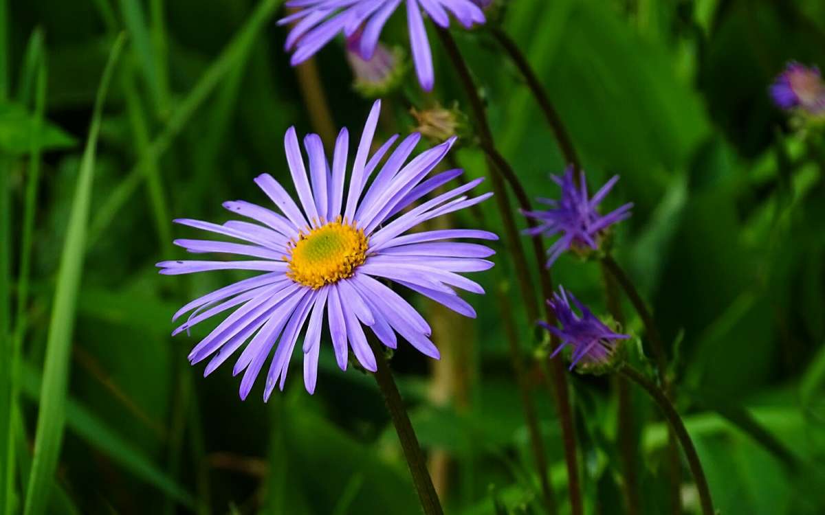   .     PhotoGeek.ru # #