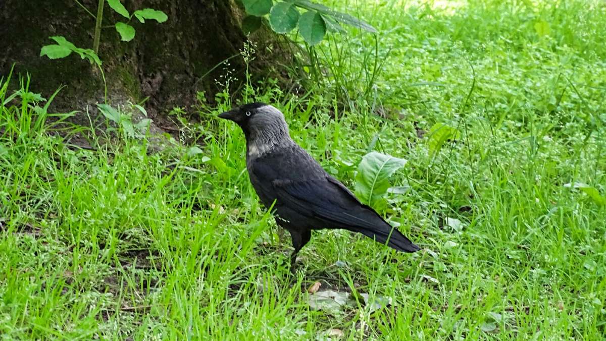 ��������������� �����. ����� �������� �������� �� PhotoGeek.ru #����� #�������� ���