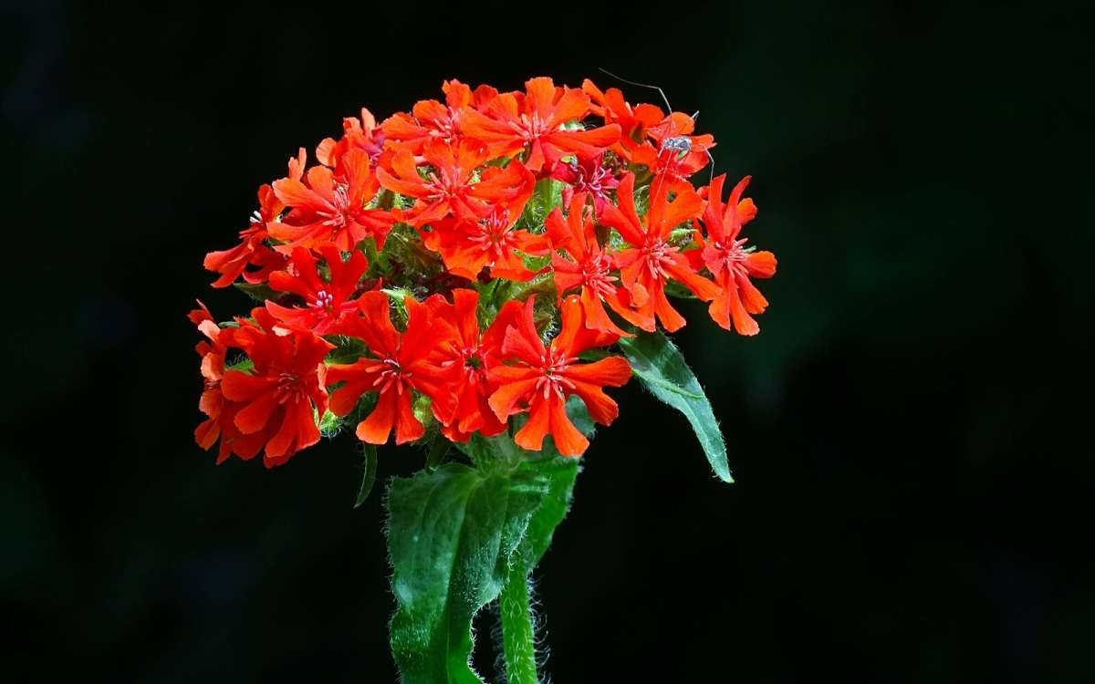  .     PhotoGeek.ru # # #  