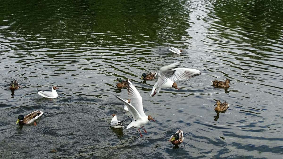 ����� �������� �� ����. ����� �������� �������� �� PhotoGeek.ru #�������� ���