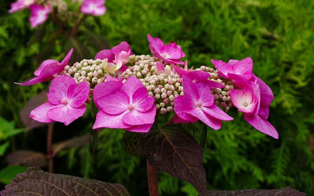 .     PhotoGeek.ru # #
