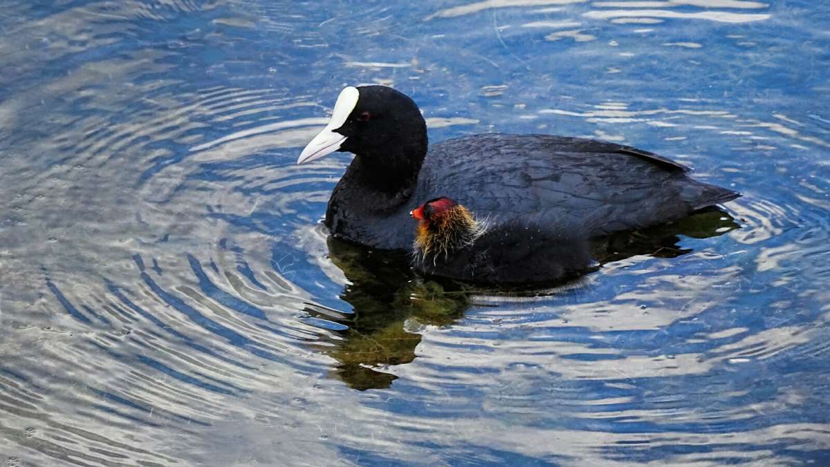 ������ � ����������. ����� �������� �������� �� PhotoGeek.ru #�������� ���