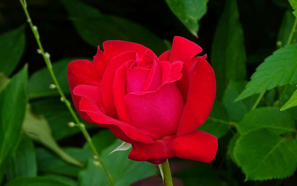 ��������� �����. ����� �������� �������� �� PhotoGeek.ru #����� #�����