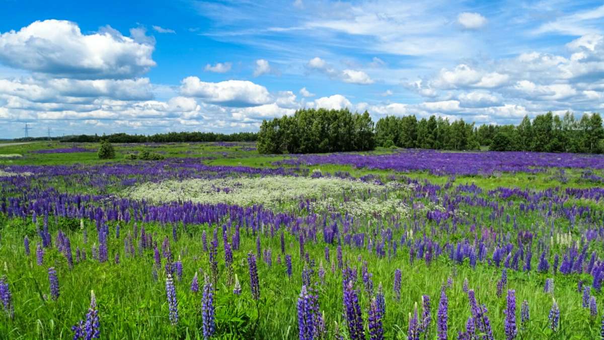 ������ �� ���������. ����� �������� �������� �� PhotoGeek.ru #������ ��� �������