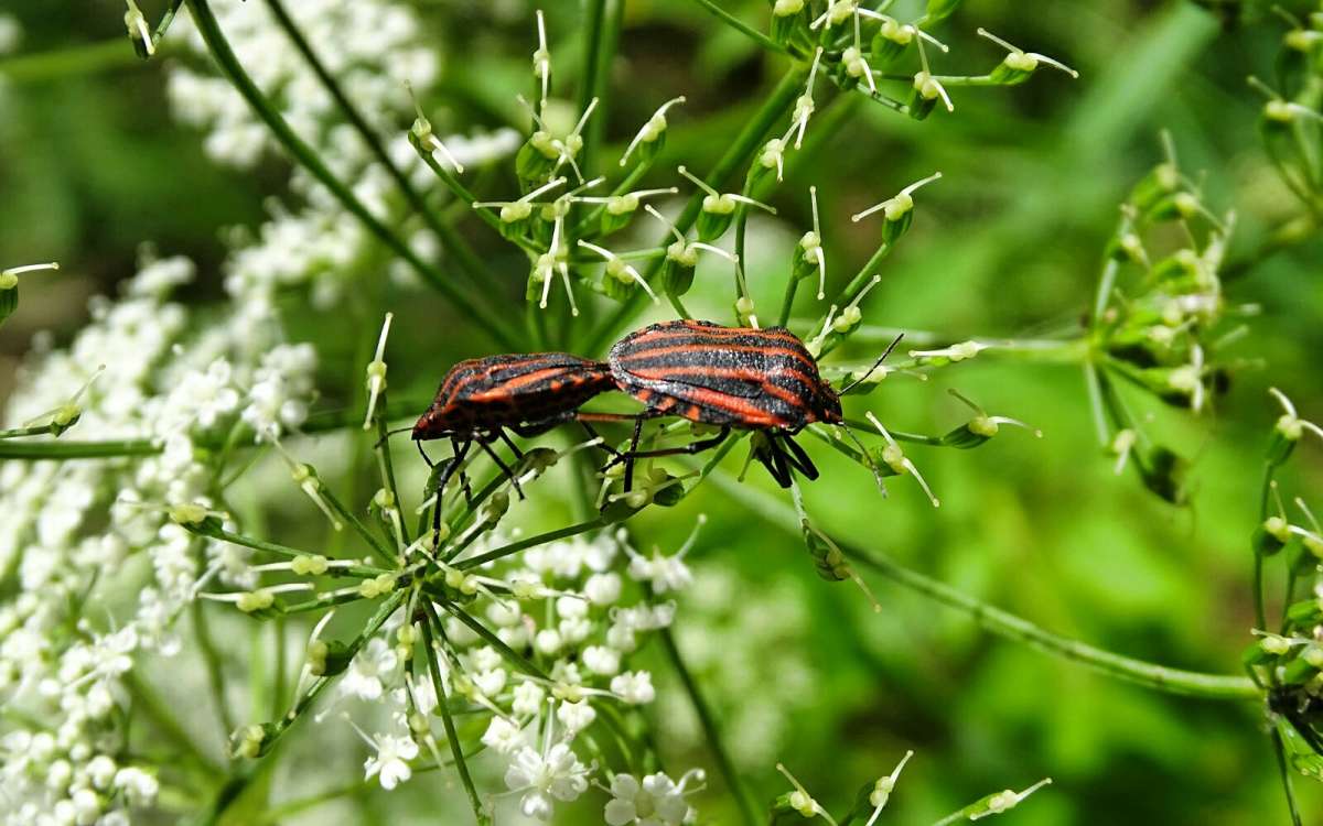 ����� ������������. ����� �������� �������� �� PhotoGeek.ru #����� #�������� ��� #������ ��� �������