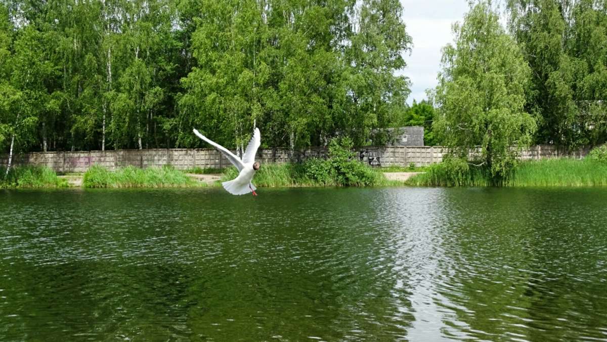 ����� � �����. ����� �������� �������� �� PhotoGeek.ru #�������� ���