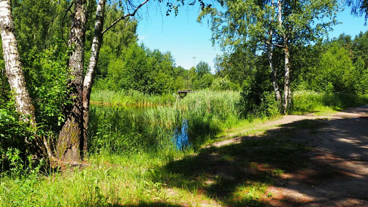 ���� ����� �������� �������� �� PhotoGeek.ru #������ ��� �������