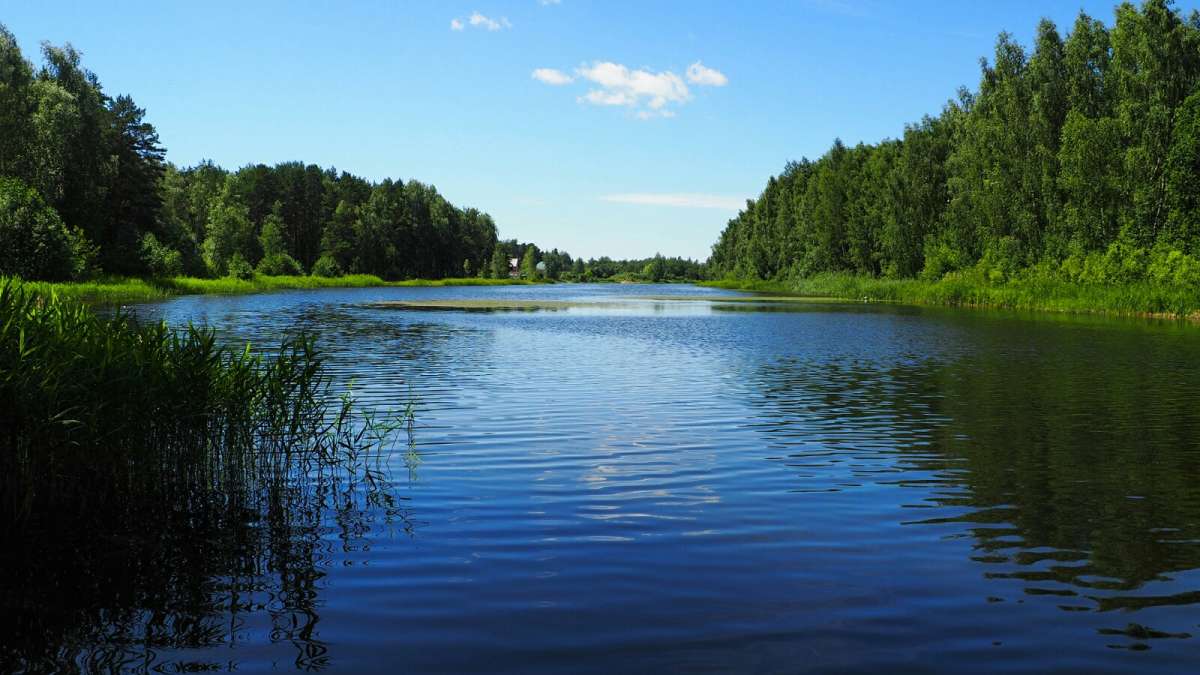 ��� ����. ����� �������� �������� �� PhotoGeek.ru #������ ��� �������