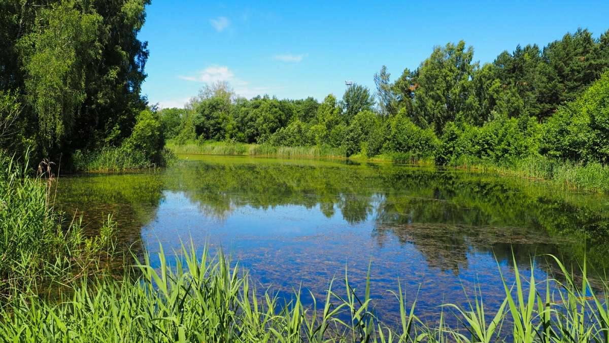 ������ ���������� �������. ����� �������� �������� �� PhotoGeek.ru #������ ��� �������