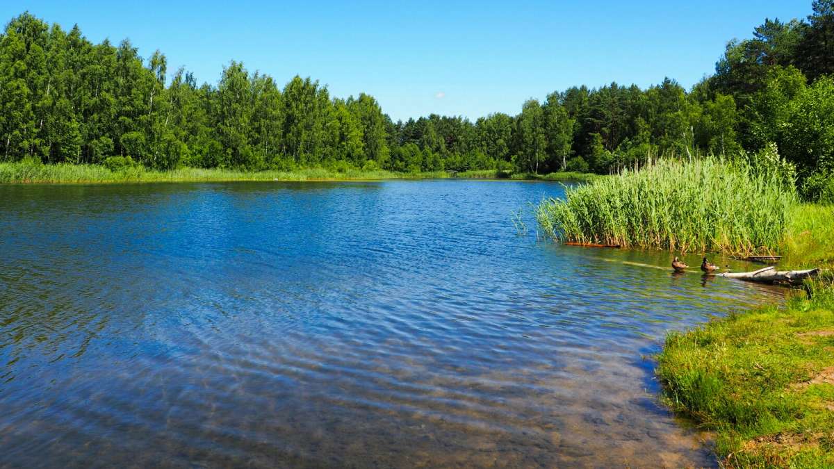 ���� - ���� ����� �������� �������� �� PhotoGeek.ru #������ ��� �������