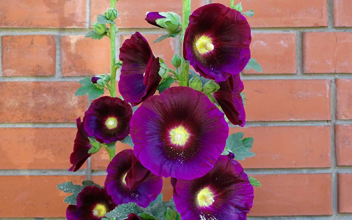 ������ �������� ������. ����� �������� �������� �� PhotoGeek.ru #����� #�����