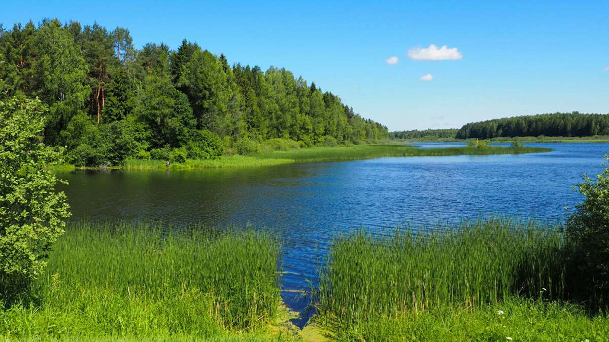 ���� - ���� ����� �������� �������� �� PhotoGeek.ru #������ ��� �������