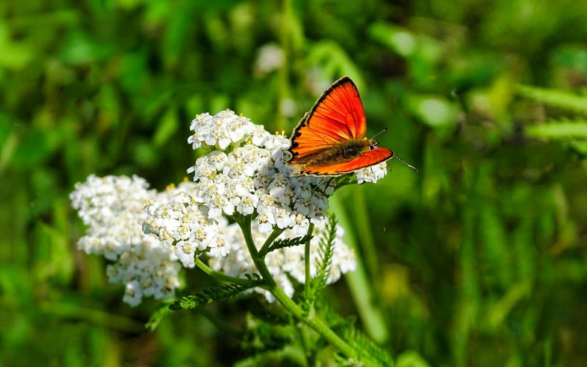� ��������. ����� �������� �������� �� PhotoGeek.ru #�����