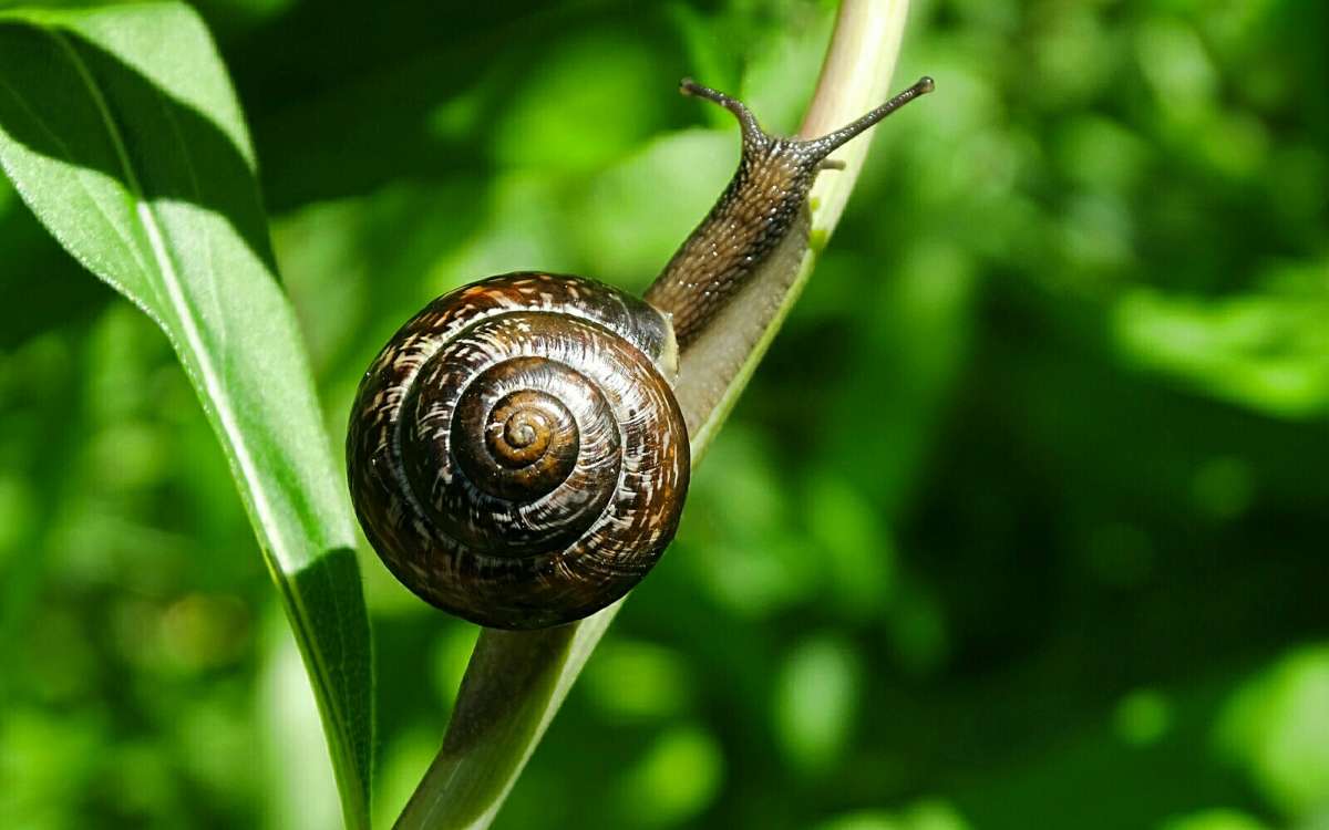 ������ ��������. ����� �������� �������� �� PhotoGeek.ru #����� #�������� ���