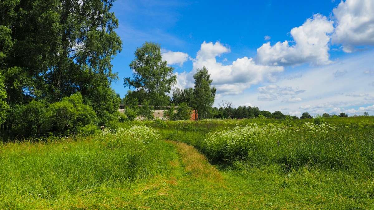 ���� - ���� ����� �������� �������� �� PhotoGeek.ru #������ ��� �������