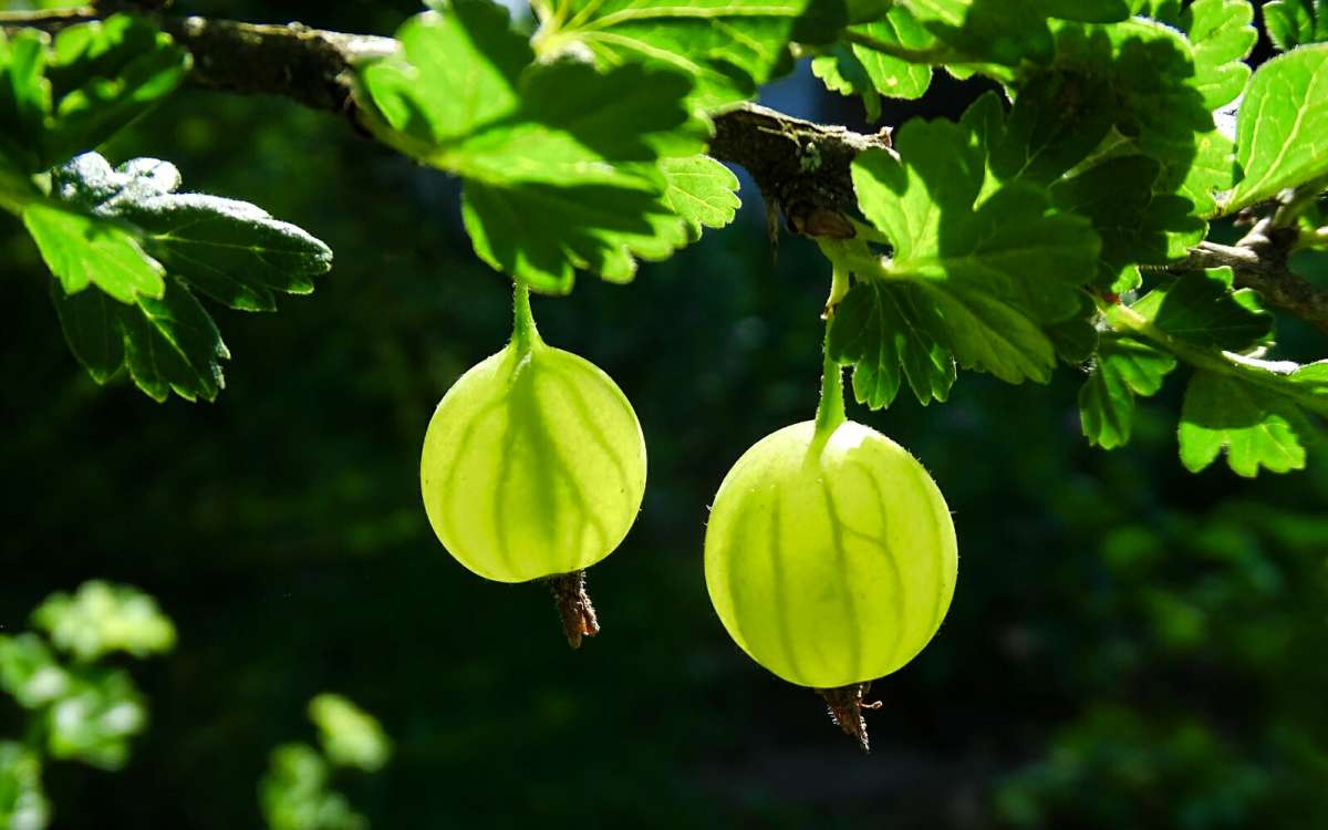 �������� ����� ����������. ����� �������� �������� �� PhotoGeek.ru #��� #����� #�����