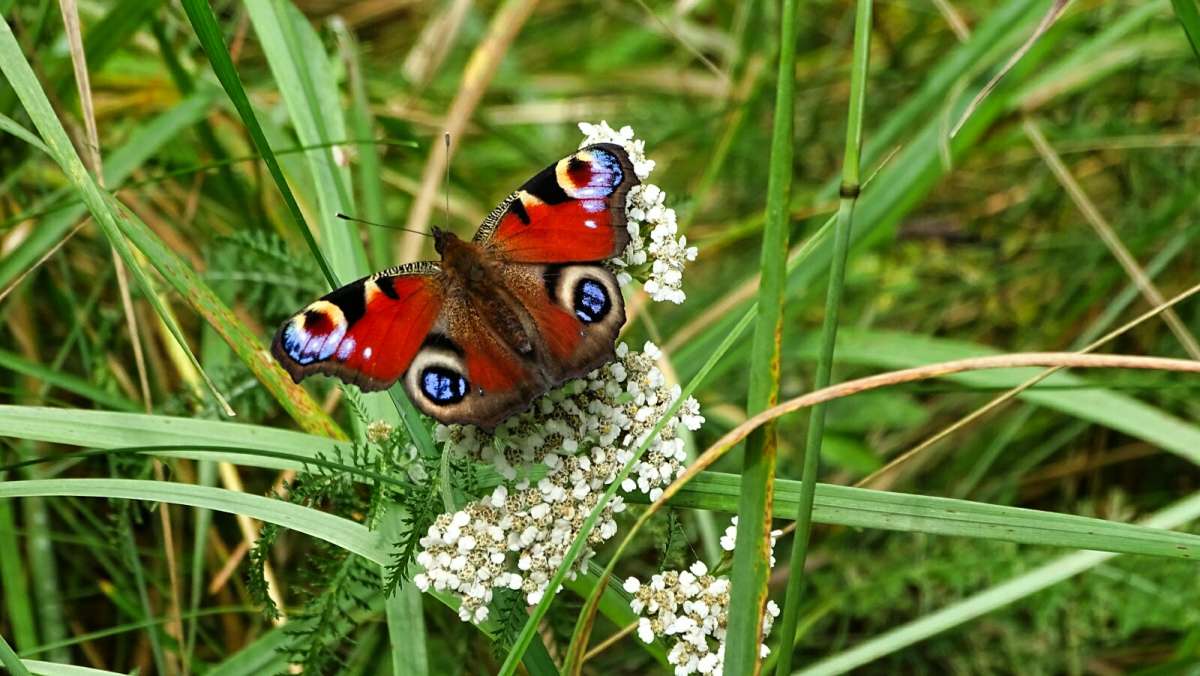 �������� ����. ����� �������� �������� �� PhotoGeek.ru #����� #�������� ���