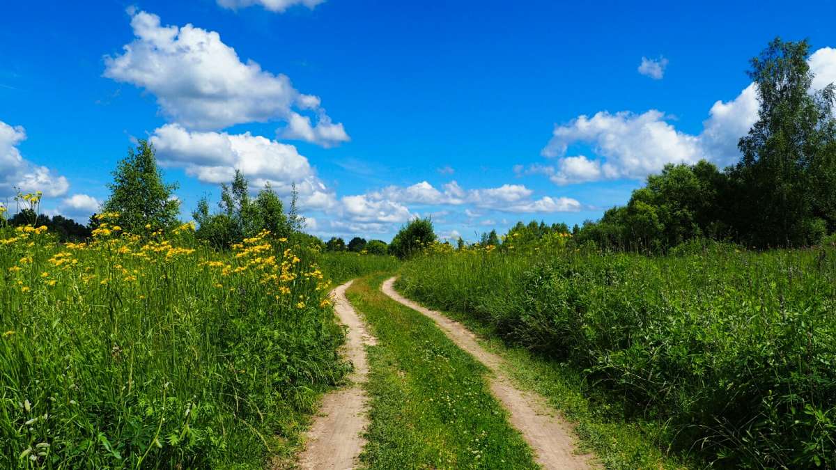 ����������� ������. ����� �������� �������� �� PhotoGeek.ru #������ ��� �������