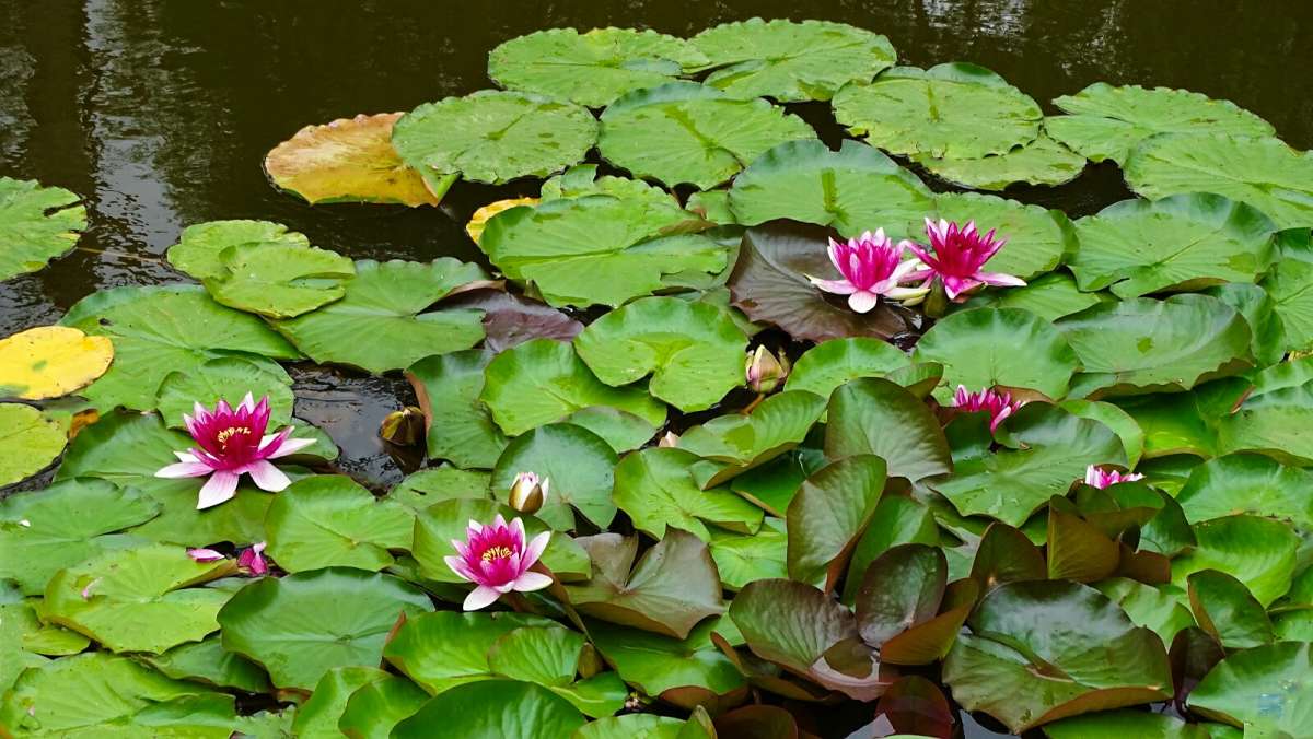 ������� �����. ����� �������� �������� �� PhotoGeek.ru #������ ��� �������