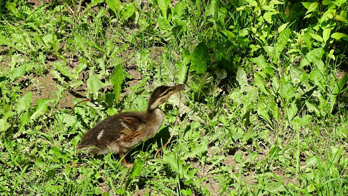 ��������� ����� ������ �������� ������������. ����� �������� �������� �� PhotoGeek.ru #����� #�������� ���