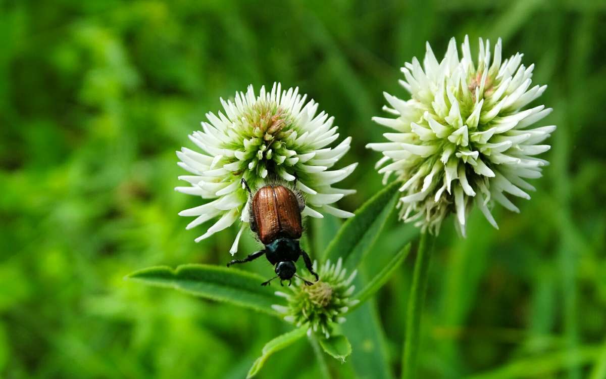 �� ����� �����. ����� �������� �������� �� PhotoGeek.ru #�����