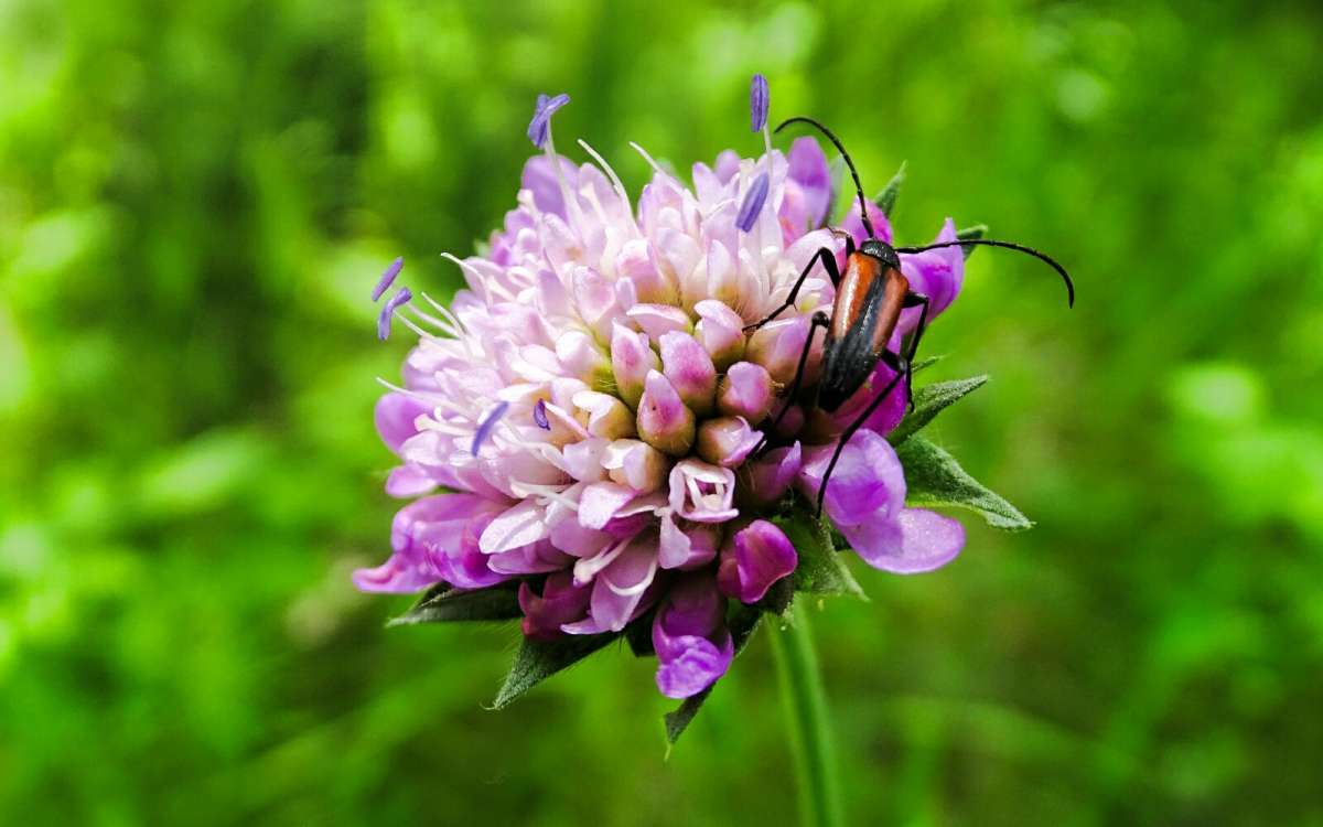 �� ����� �����. ����� �������� �������� �� PhotoGeek.ru #�����