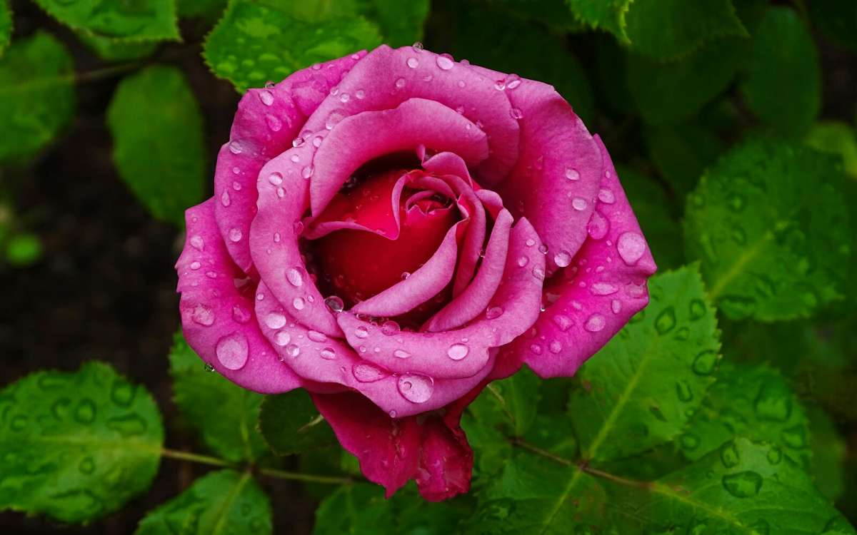 ��� ��������� �����. ����� �������� �������� �� PhotoGeek.ru #����� #�����