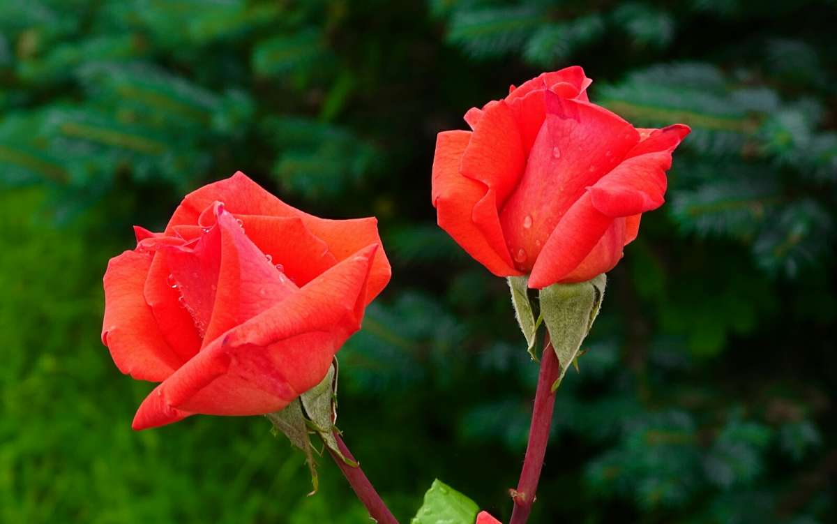 ����� �� ��������� �������. ����� �������� �������� �� PhotoGeek.ru #����� #�����