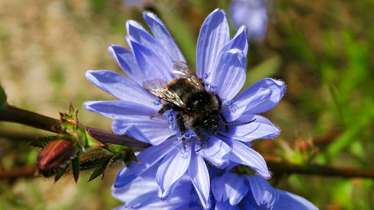 �������� ����. ����� �������� �������� �� PhotoGeek.ru #����� #�������� ��� #������ ��� �������