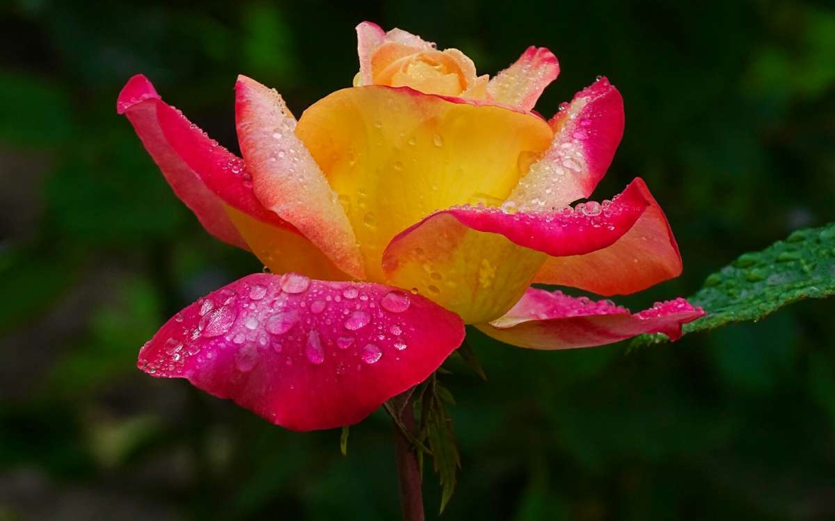 ����� ��� ����� ����� �������� �������� �� PhotoGeek.ru #����� #�����