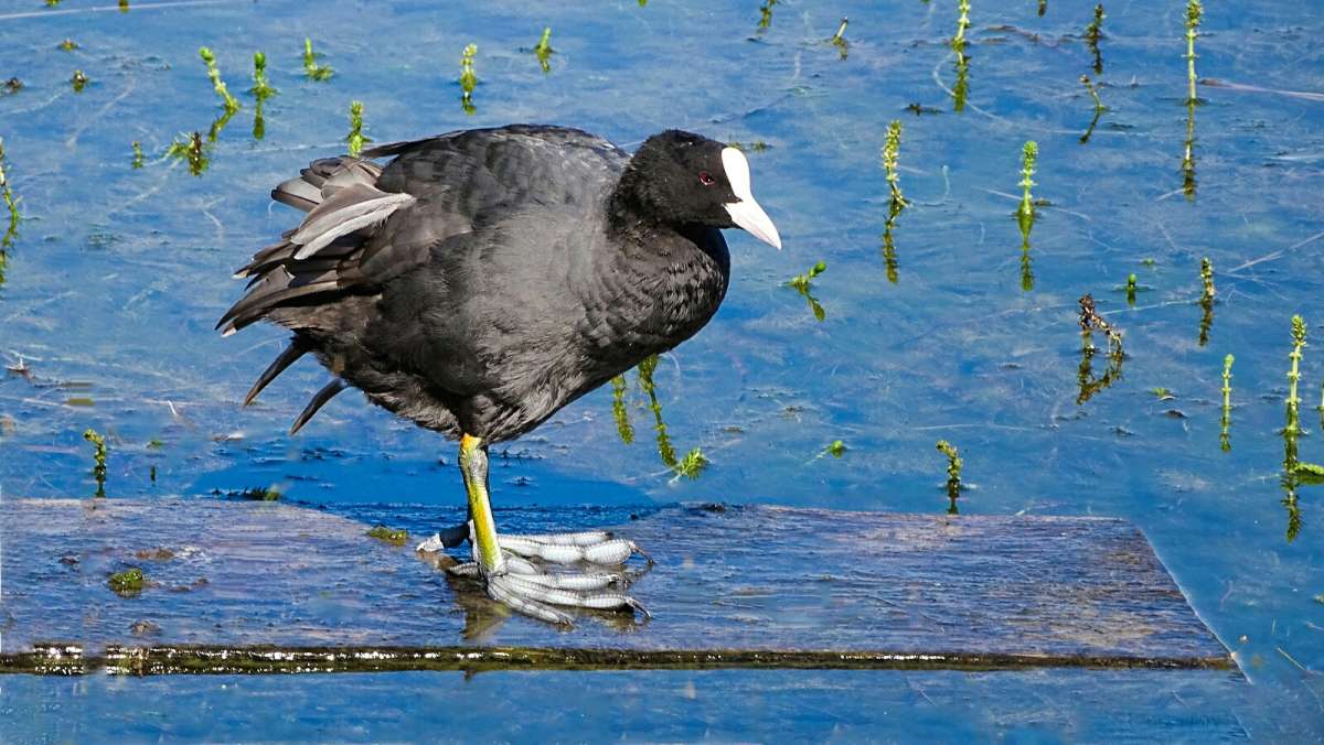 ������������� ����� - ������. ����� �������� �������� �� PhotoGeek.ru #�������� ���