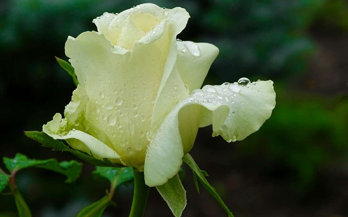 ���� ��� ��������� �����. ����� �������� �������� �� PhotoGeek.ru #����� #�����