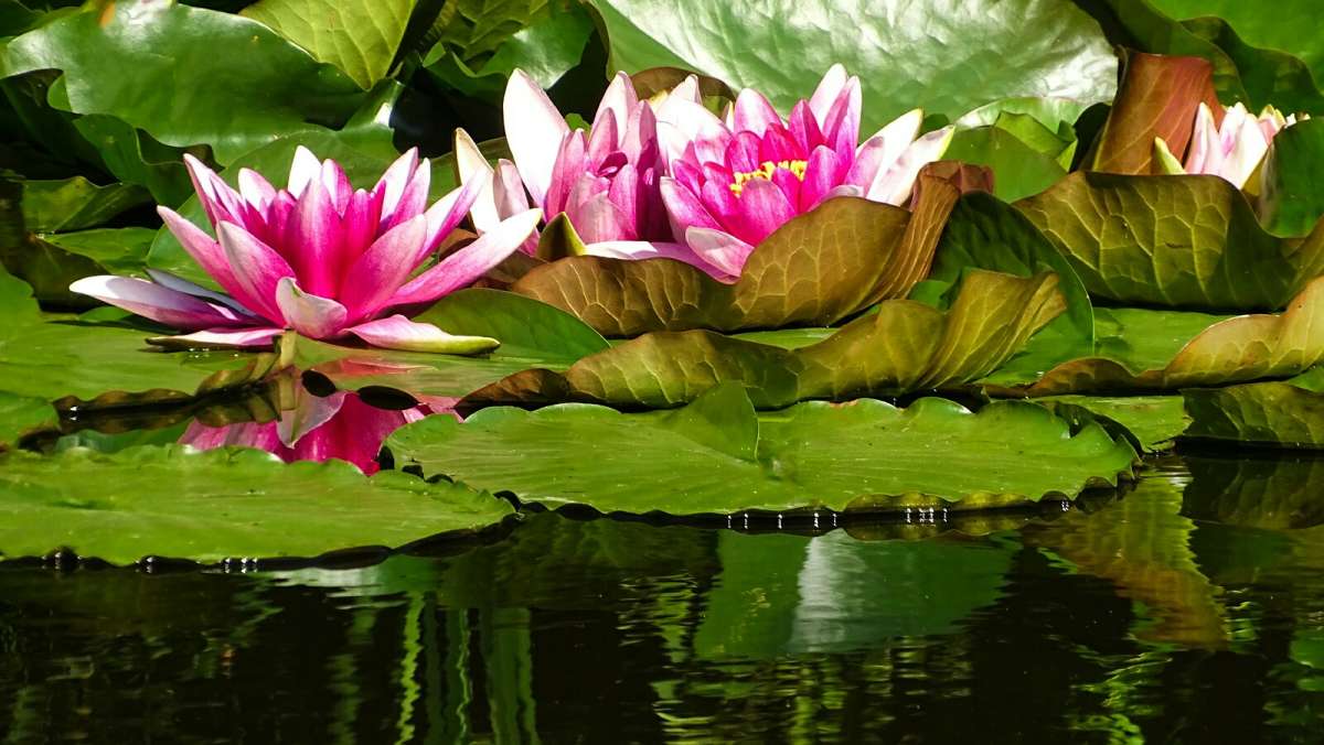 ������� �����. ����� �������� �������� �� PhotoGeek.ru #����� #������ ��� �������