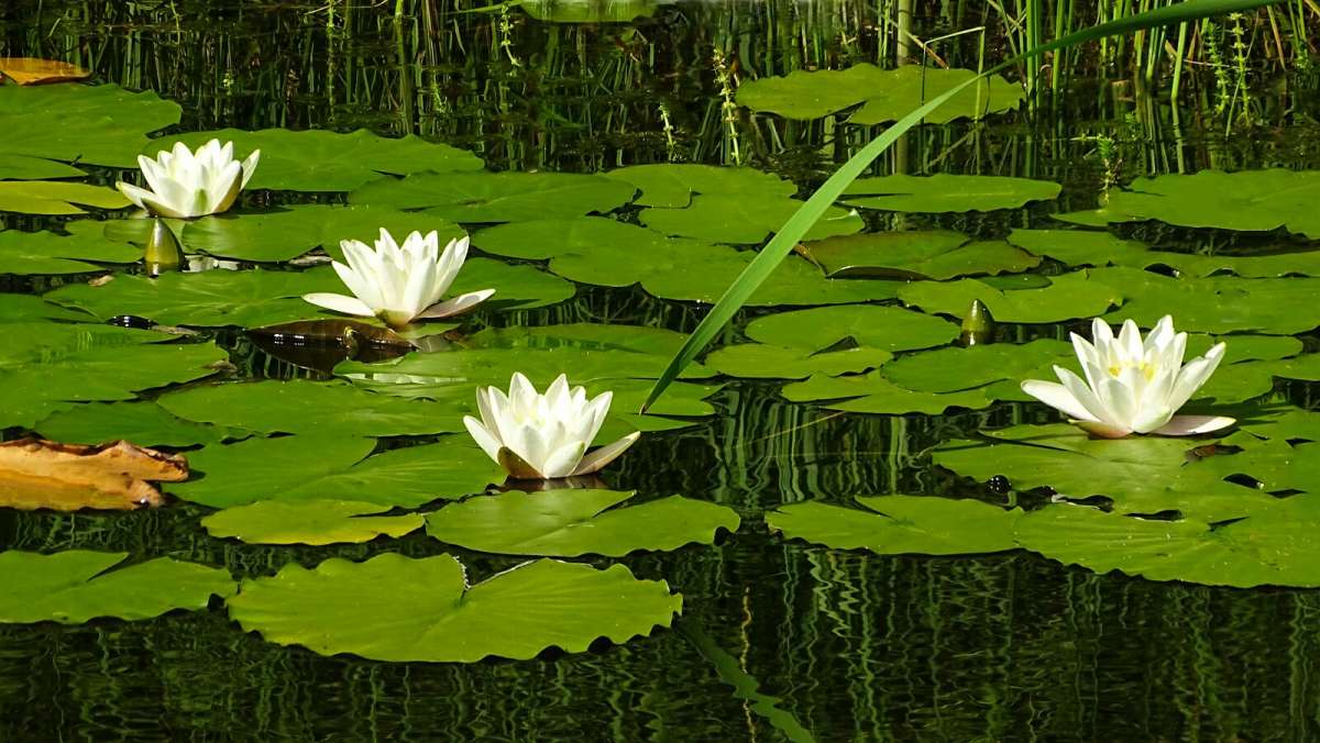 ����� ������� ��������. ����� �������� �������� �� PhotoGeek.ru #����� #������ ��� �������