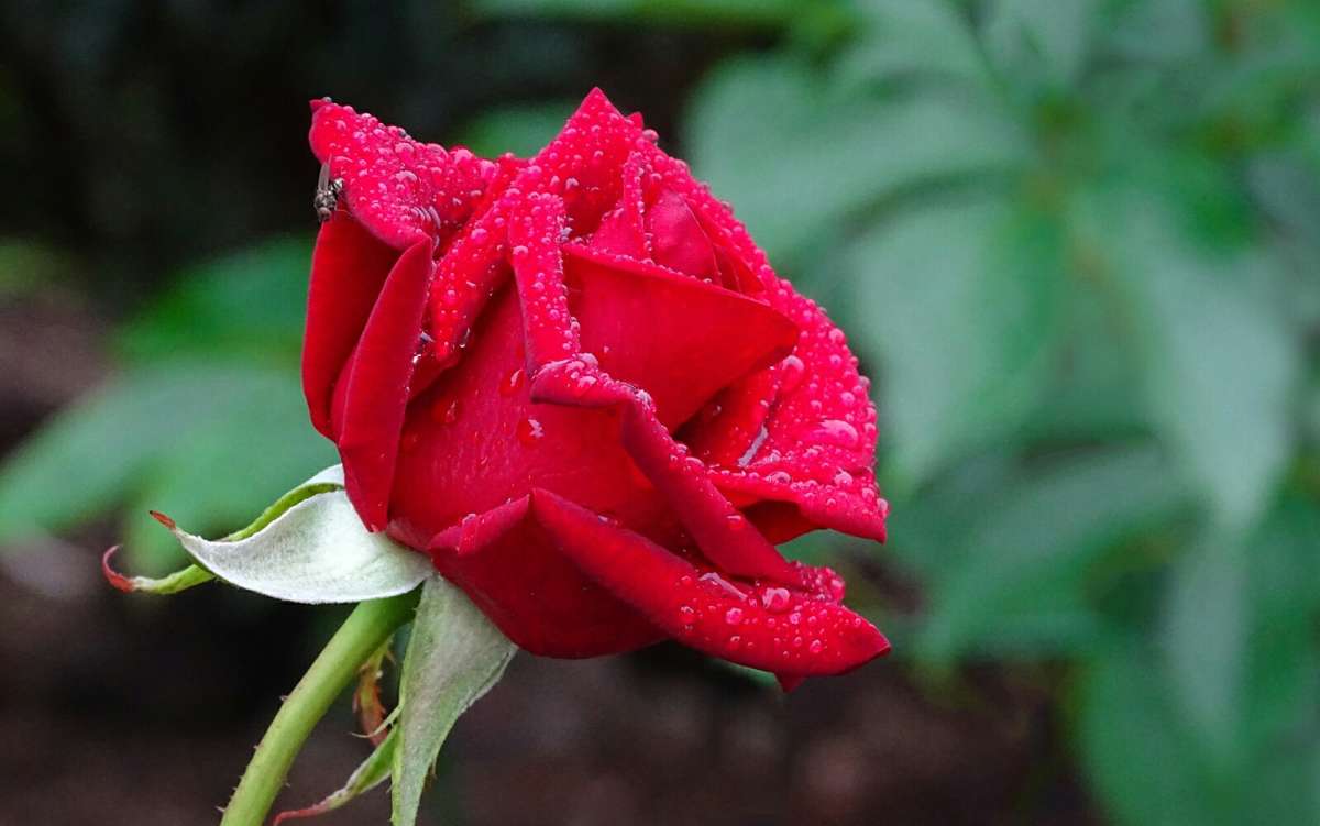 ����� �� ��������� �������. ����� �������� �������� �� PhotoGeek.ru #����� #�����