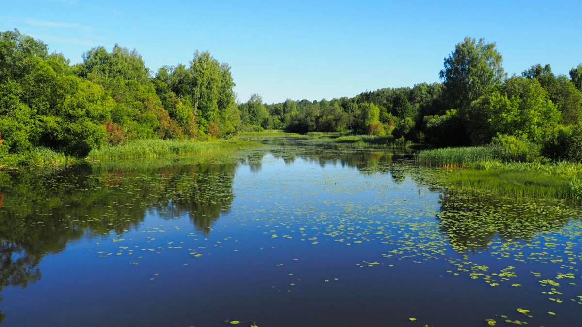 ��� ����. ����� �������� �������� �� PhotoGeek.ru #������ ��� �������