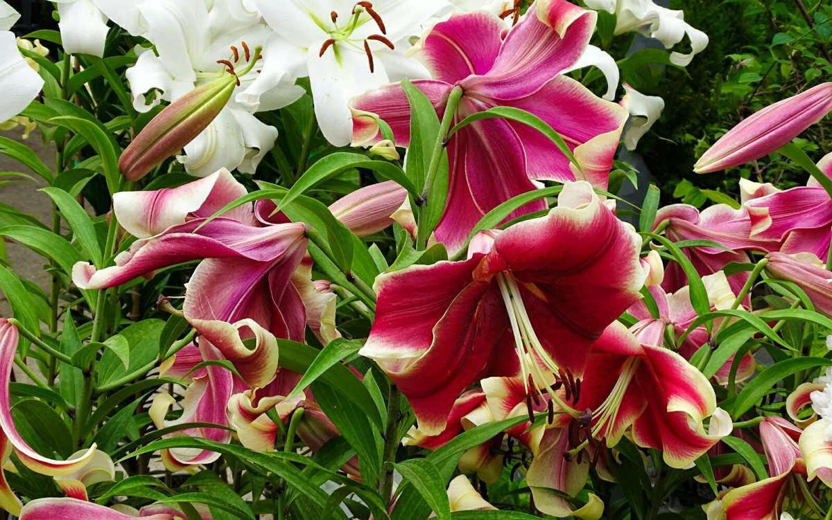 ��������� �����. ����� �������� �������� �� PhotoGeek.ru #����� #�����