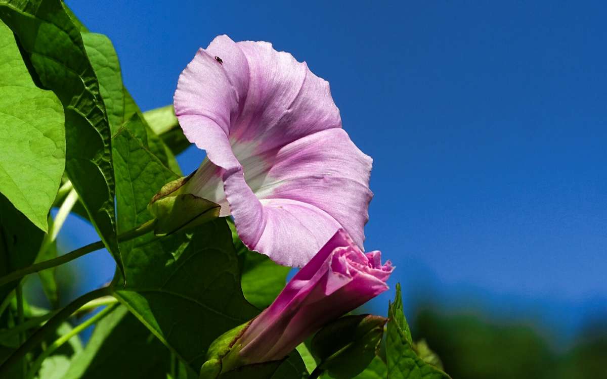.     PhotoGeek.ru #
