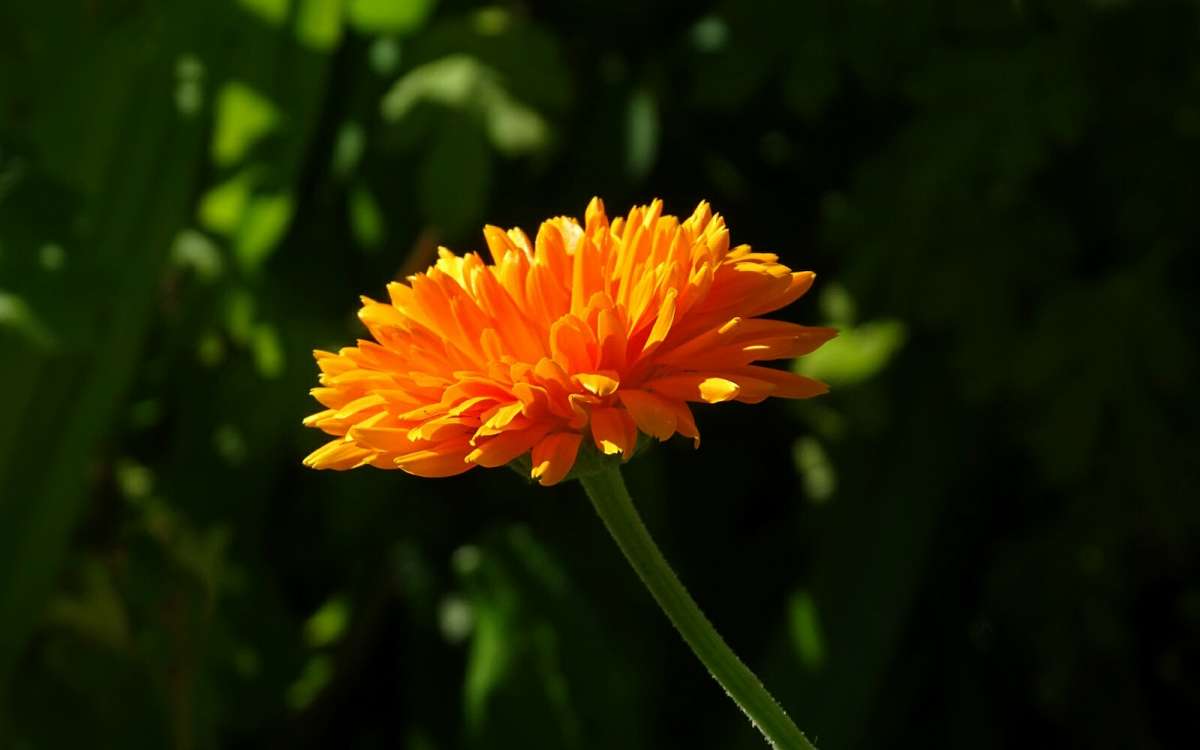   .     PhotoGeek.ru # #