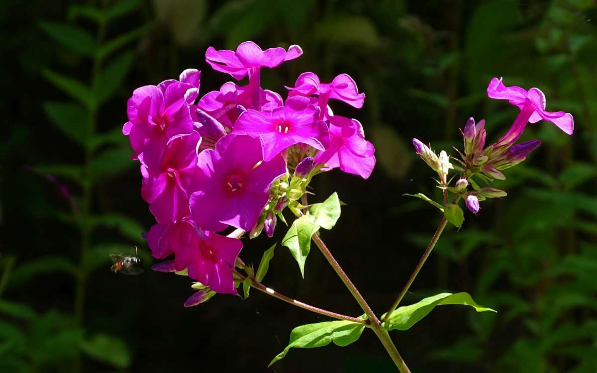    .     PhotoGeek.ru # #