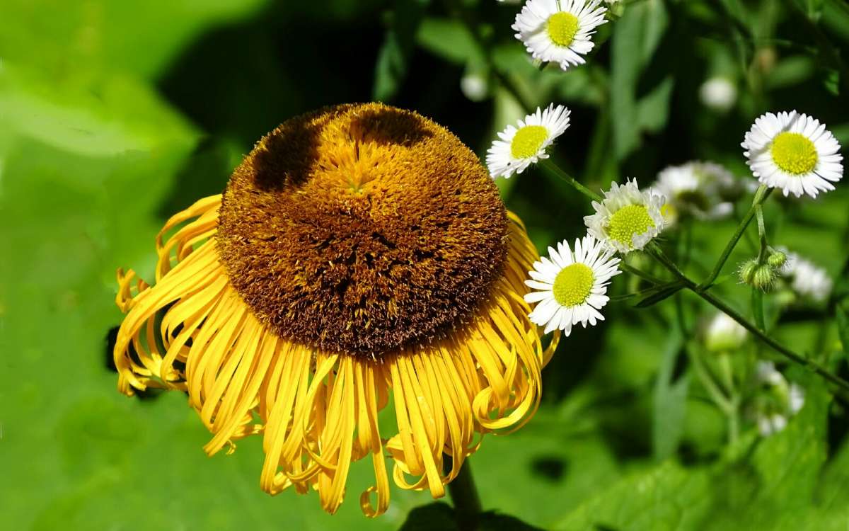   .     PhotoGeek.ru # #